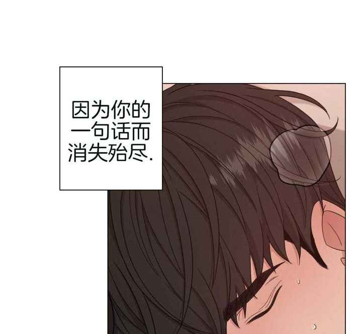 危险关系电影完整版免费西瓜影视漫画,第91话3图