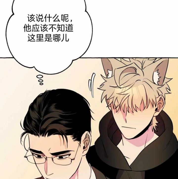 第35话0