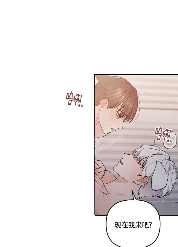 狗狗的恋爱漫画,第31话5图