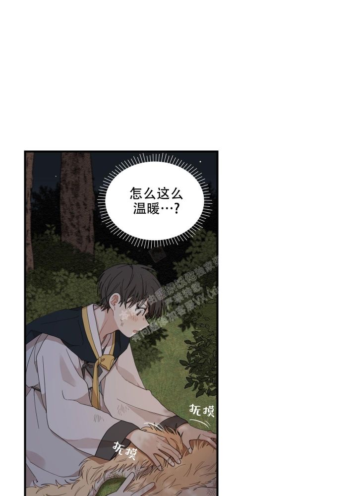 铺满金钟花的路漫画漫画,第17话4图
