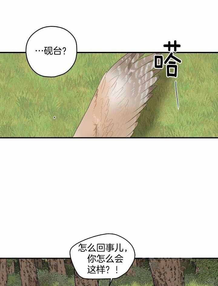 铺满金钟花的路在哪个app看漫画,第41话5图