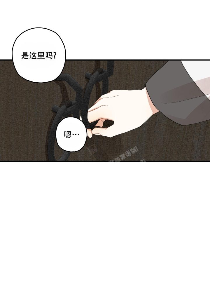 铺满金钟花的路在哪个app看漫画,第20话5图