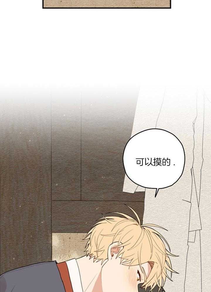 铺满金钟花的路漫画漫画,第28话5图