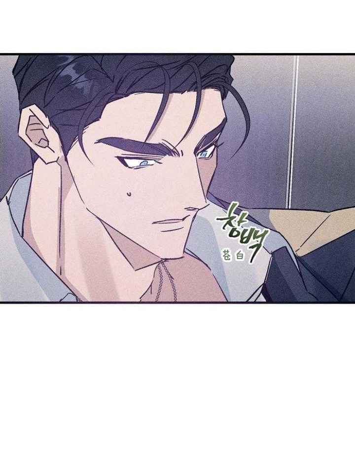 代号免费高清在线观看漫画,第74话5图