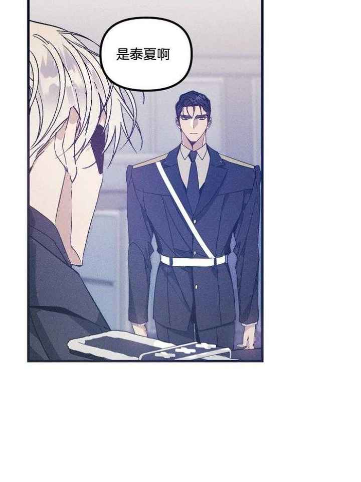 代号迷雾漫画免费阅读漫画,第76话5图