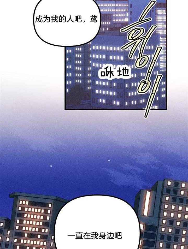 代号迷雾漫画免费阅读漫画,第69话2图