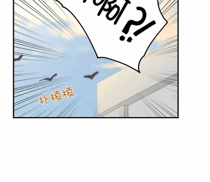 第84话0