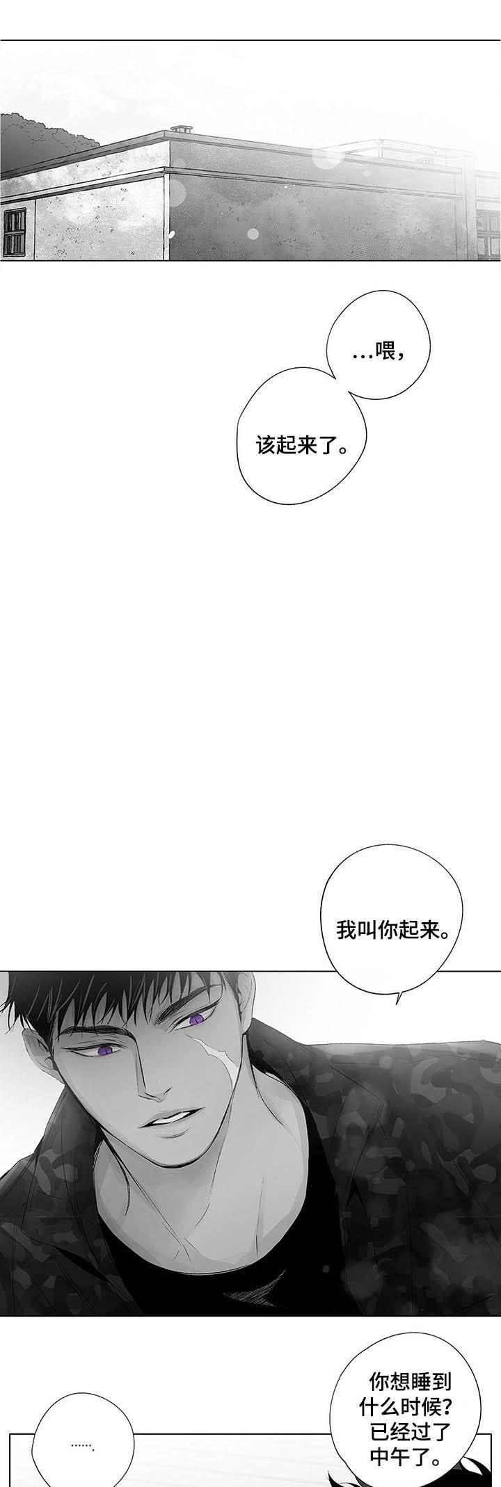 蜜月岛简介漫画,第49话1图