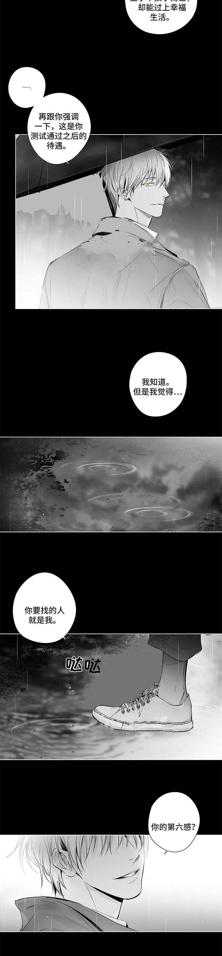 蜜月岛简介漫画,第74话4图