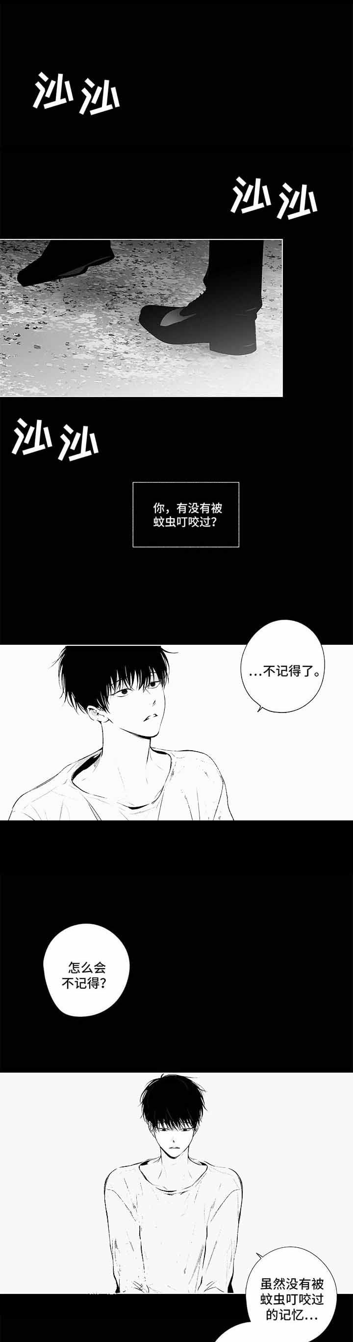 蜜月岛简介漫画,第74话1图