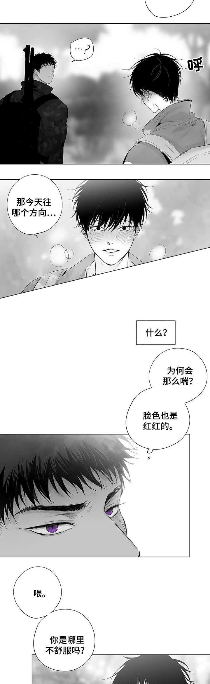 蜜月岛简介漫画,第49话5图