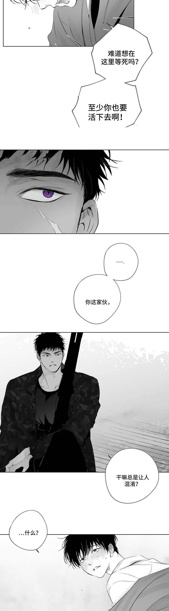 蜜月岛简介漫画,第56话4图