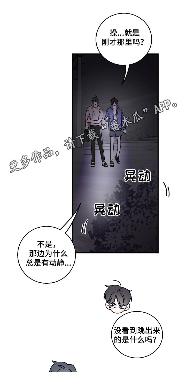 同类相似和同类相异怎么区分漫画,第34话1图