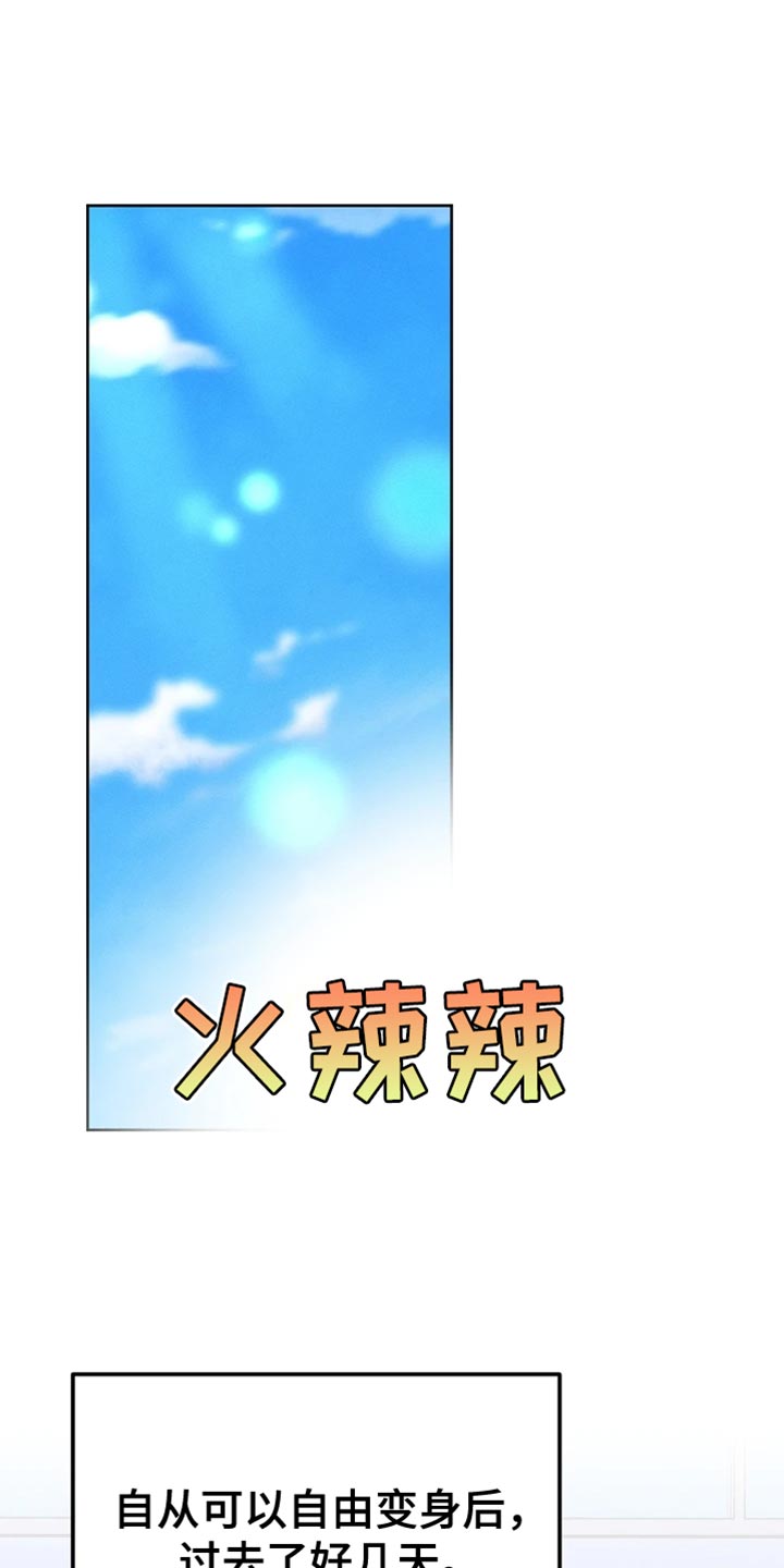白鸟奇遇记漫画,第71话1图