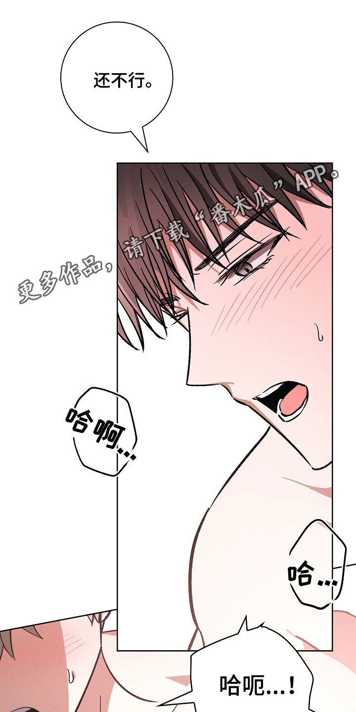 我的太子妃超凶的小说免费阅读漫画,第92话1图