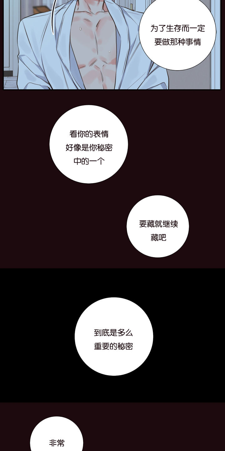 金牌代理的秘密漫画完整版漫画,第24话5图