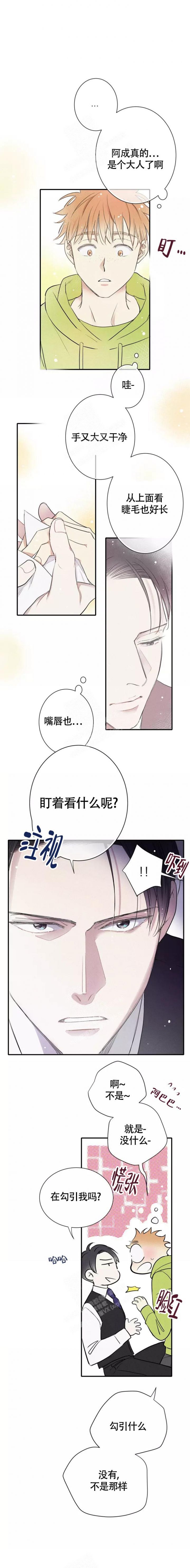 恋爱名流漫画漫画,第9话5图