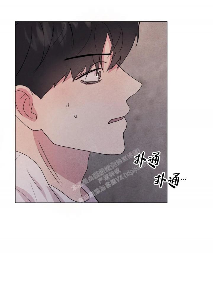 刺身鱼类大全图片漫画,第38话5图