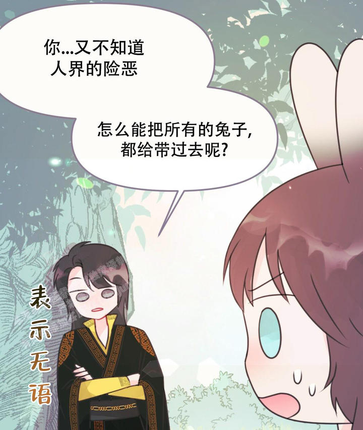 兔兔的视频萌宠漫画,第18话4图