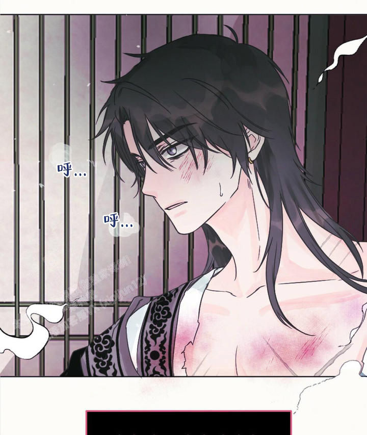 兔兔的小龙宝漫画下拉式漫画,第13话4图