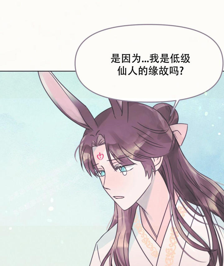 兔兔的小龙宝漫画下拉式漫画,第20话2图