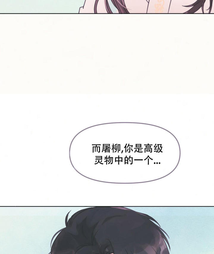 兔兔的小龙宝漫画下拉式漫画,第20话3图