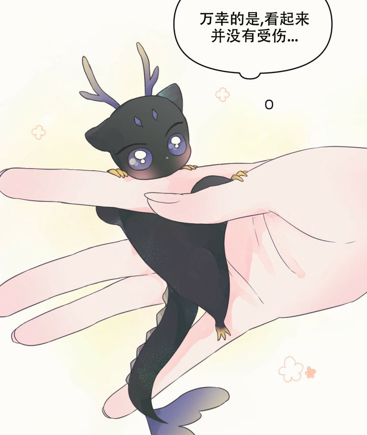 兔兔的视频全部漫画,第2话5图