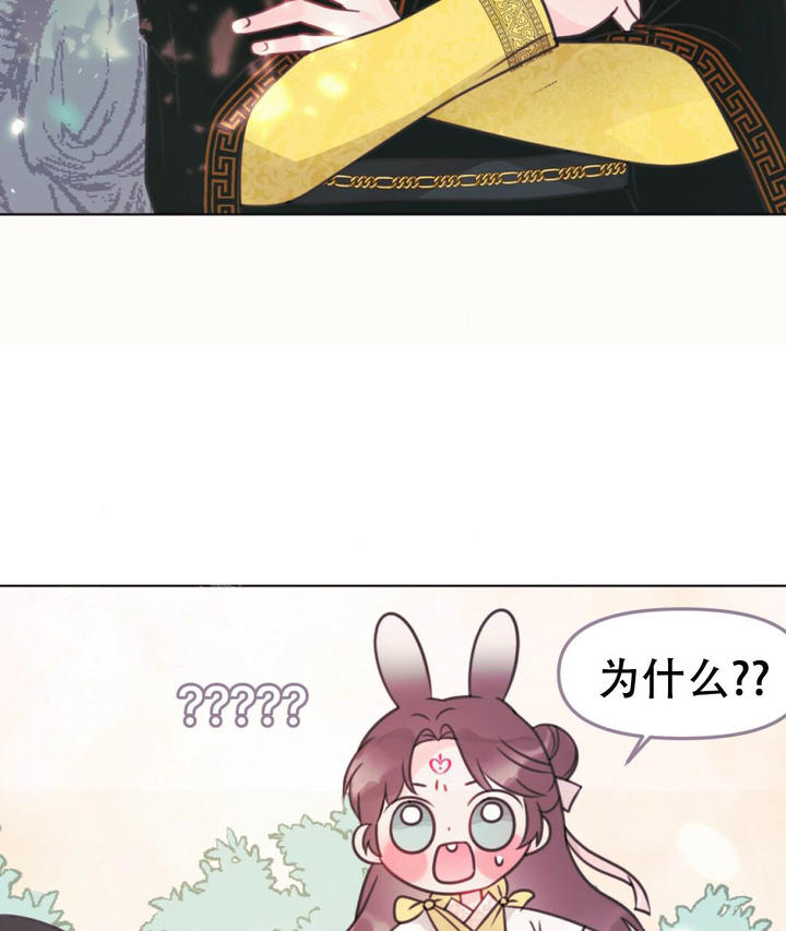 兔兔的视频萌宠漫画,第18话2图