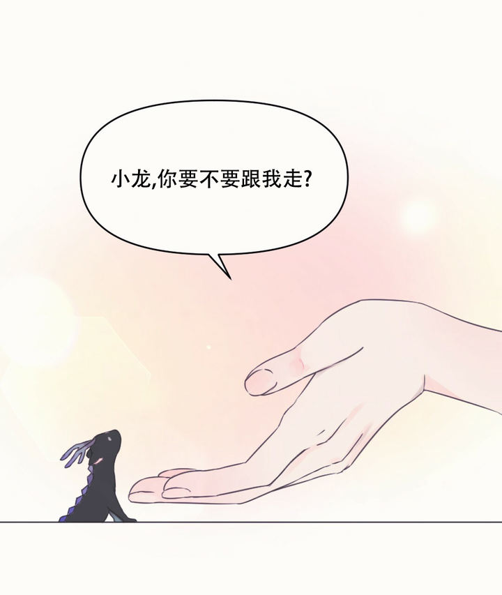 兔兔的视频全部漫画,第2话1图