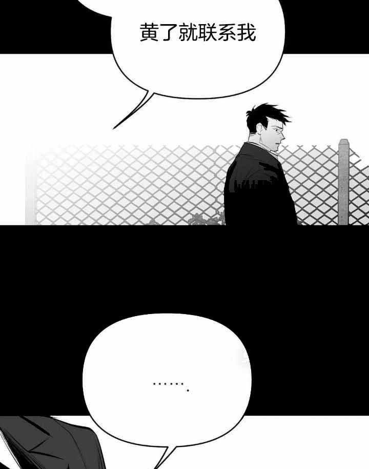 不走路的腿181话漫画,第161话5图