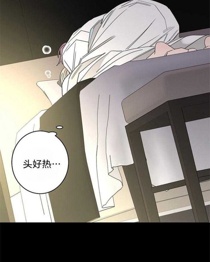 炒过的豆子会发芽么漫画漫画,第40话4图