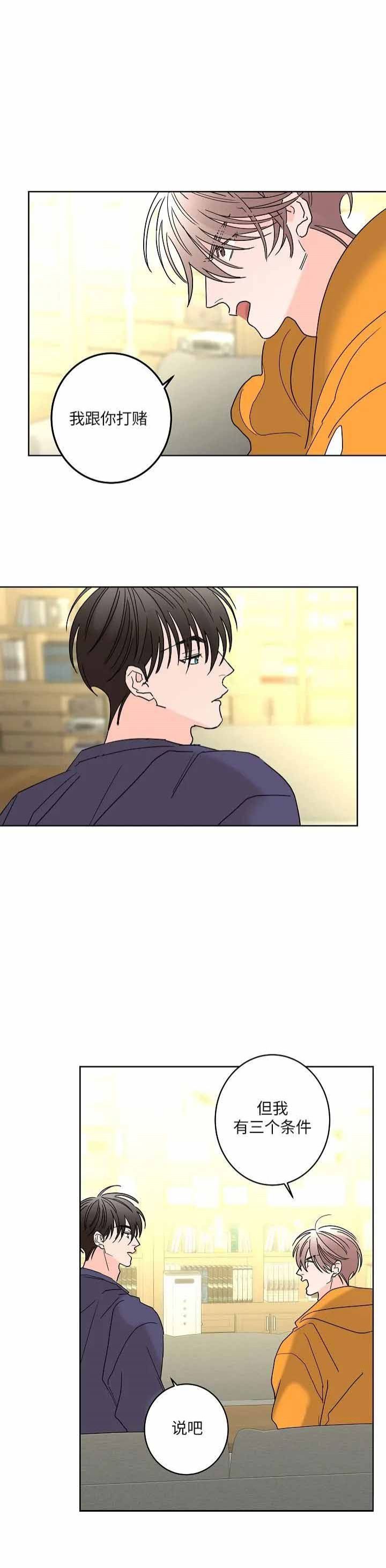 炒过豆子会发芽吗漫画漫画,第51话5图
