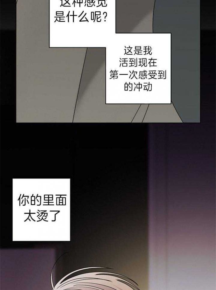 炒过的豆子会发芽吗(第二季)漫画,第41话5图