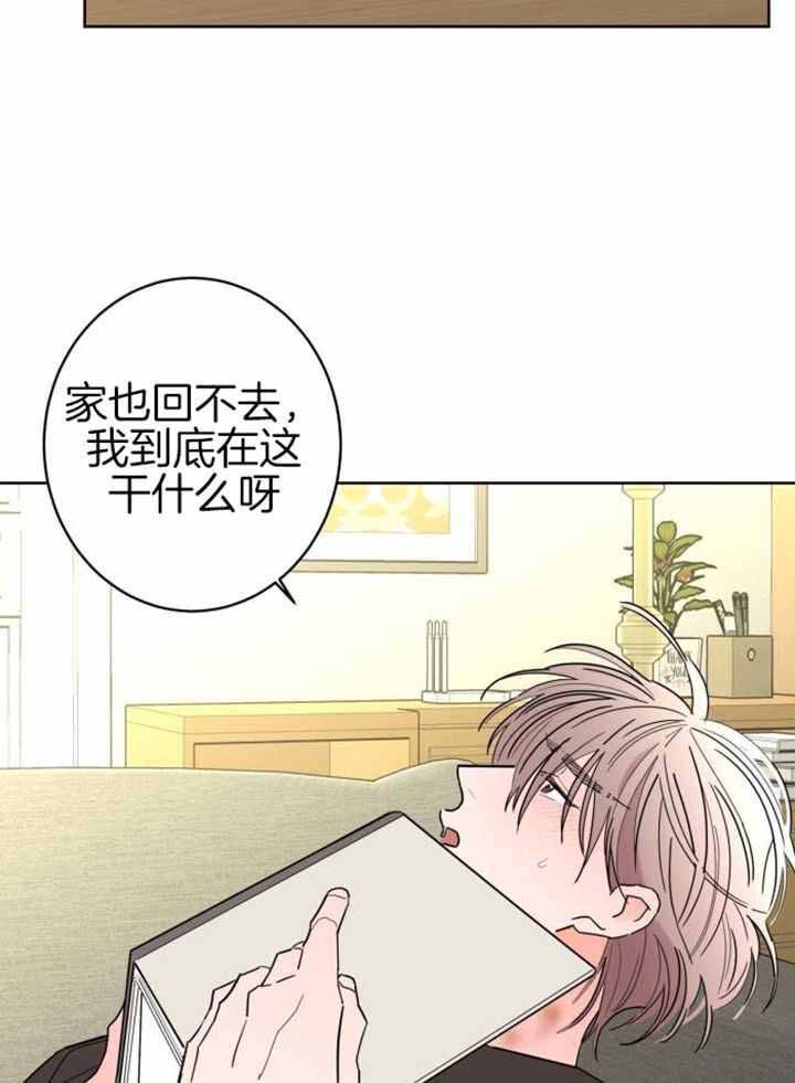 炒过的豆子会发芽吗(第二季)漫画,第115话4图