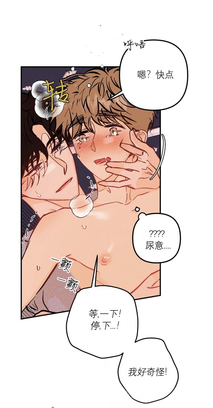 奏爱漫画阅读完整版漫画,第62话5图