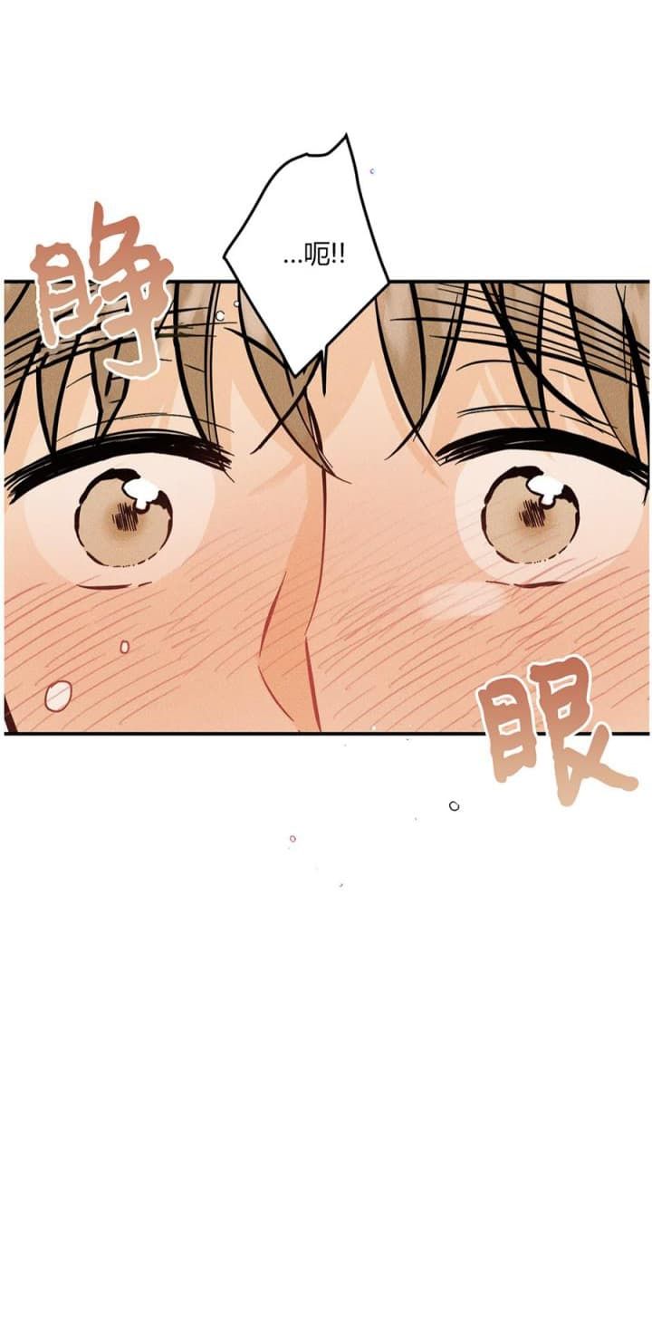 奏爱漫画第7章免费阅读漫画,第68话5图