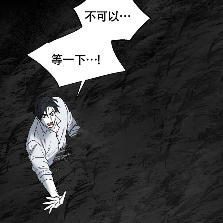 再续前缘服务器详情漫画,第14话4图