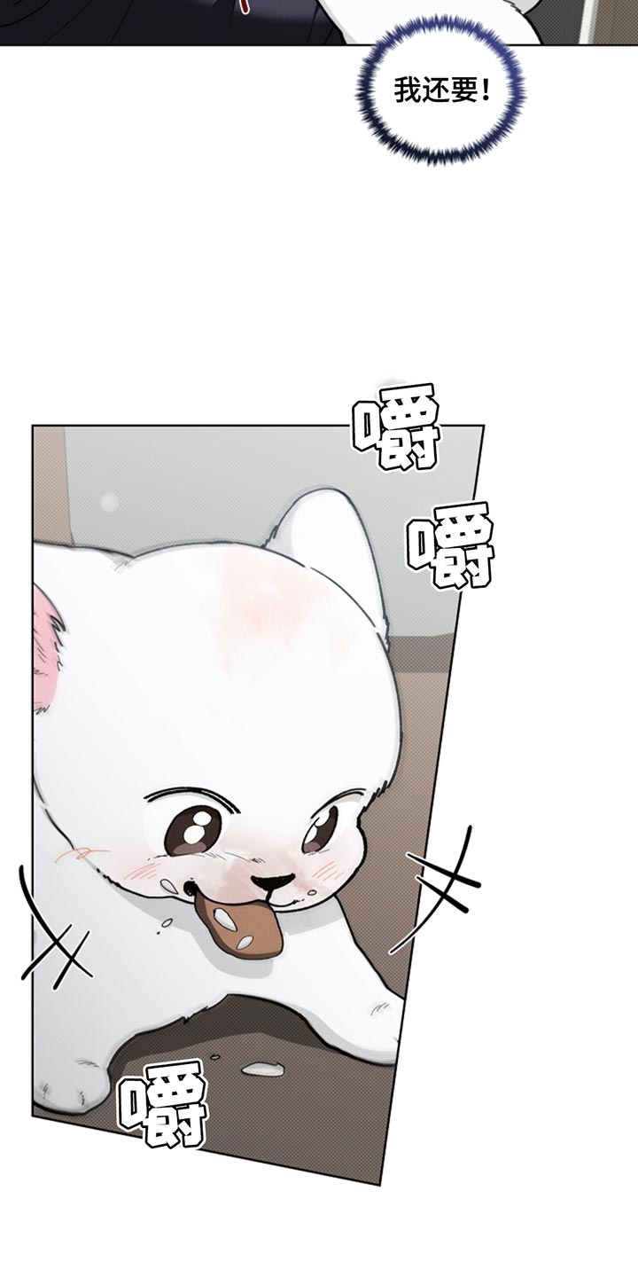 小白狗奇遇记漫画全集免费观看漫画,第34话4图