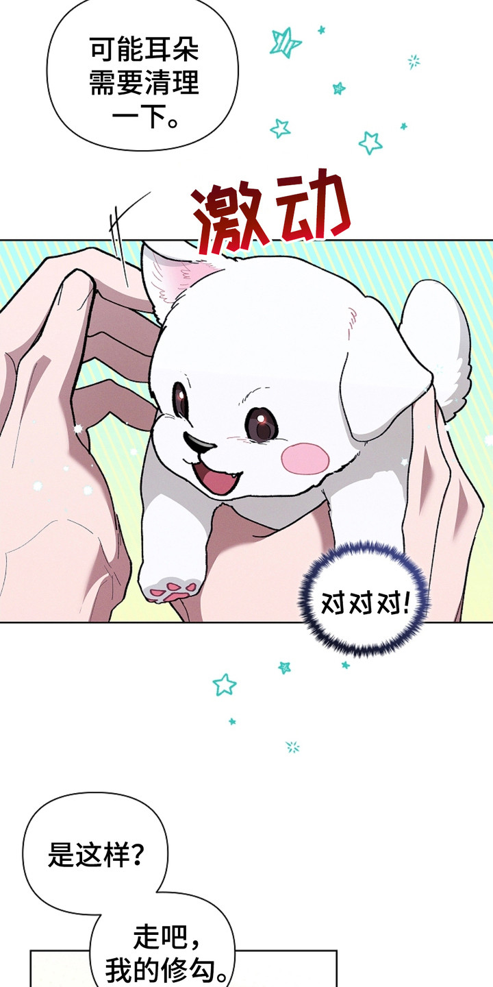 小白狗奇遇记动漫漫画,第19话4图