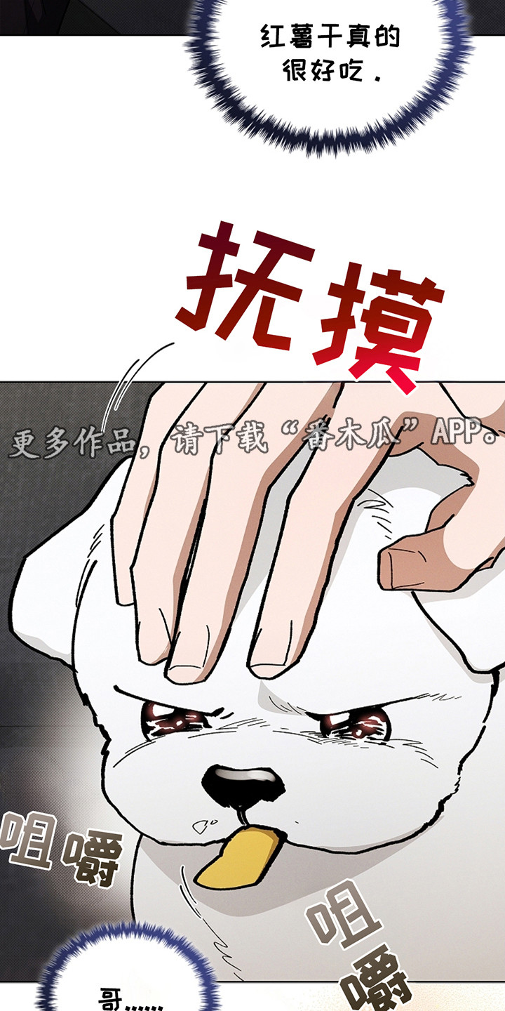 小白狗奇遇记漫画全集免费观看漫画,第14话5图