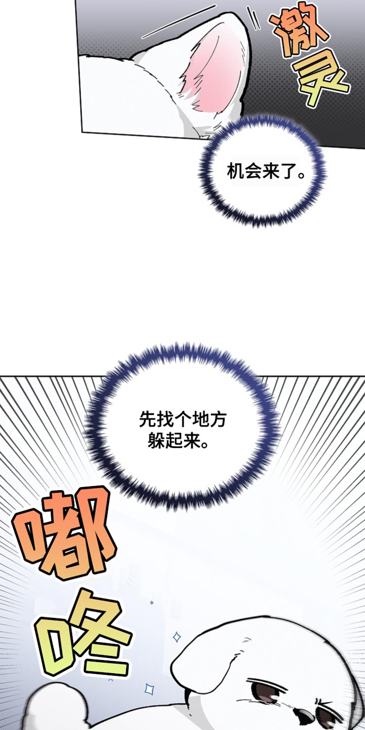 小白狗奇遇记动漫漫画,第26话2图