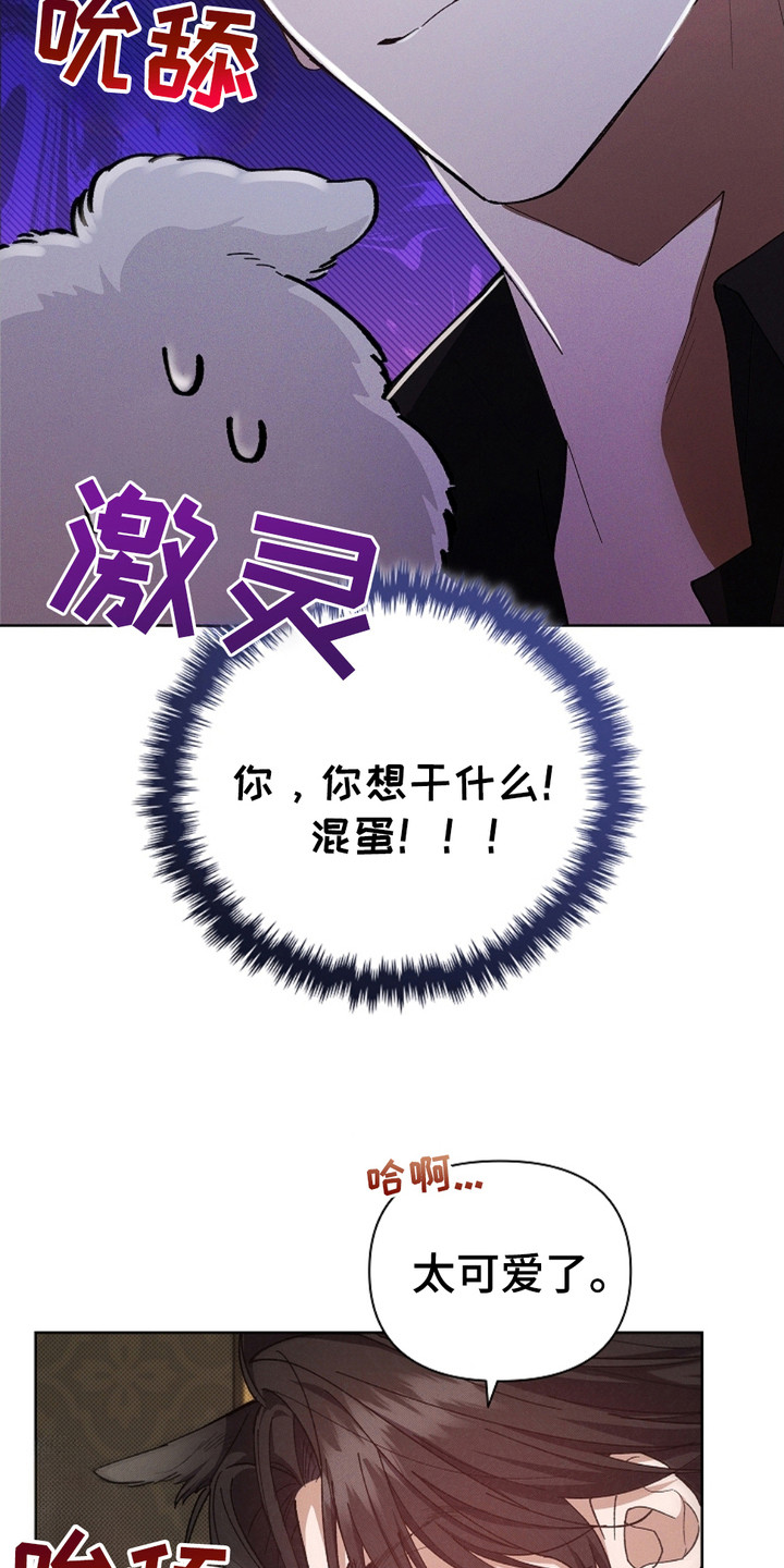小白狗奇遇记漫画全集免费观看漫画,第4话4图
