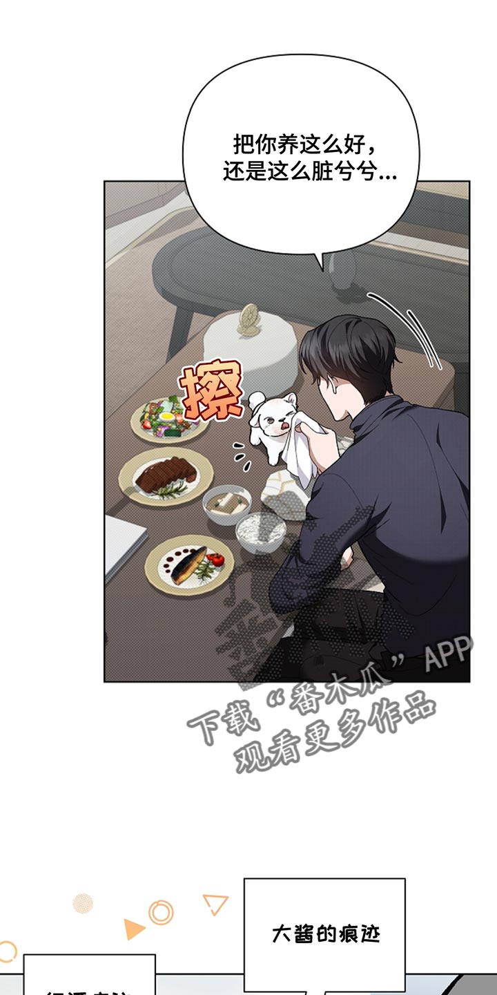 小白狗奇遇记漫画全集免费观看漫画,第34话5图