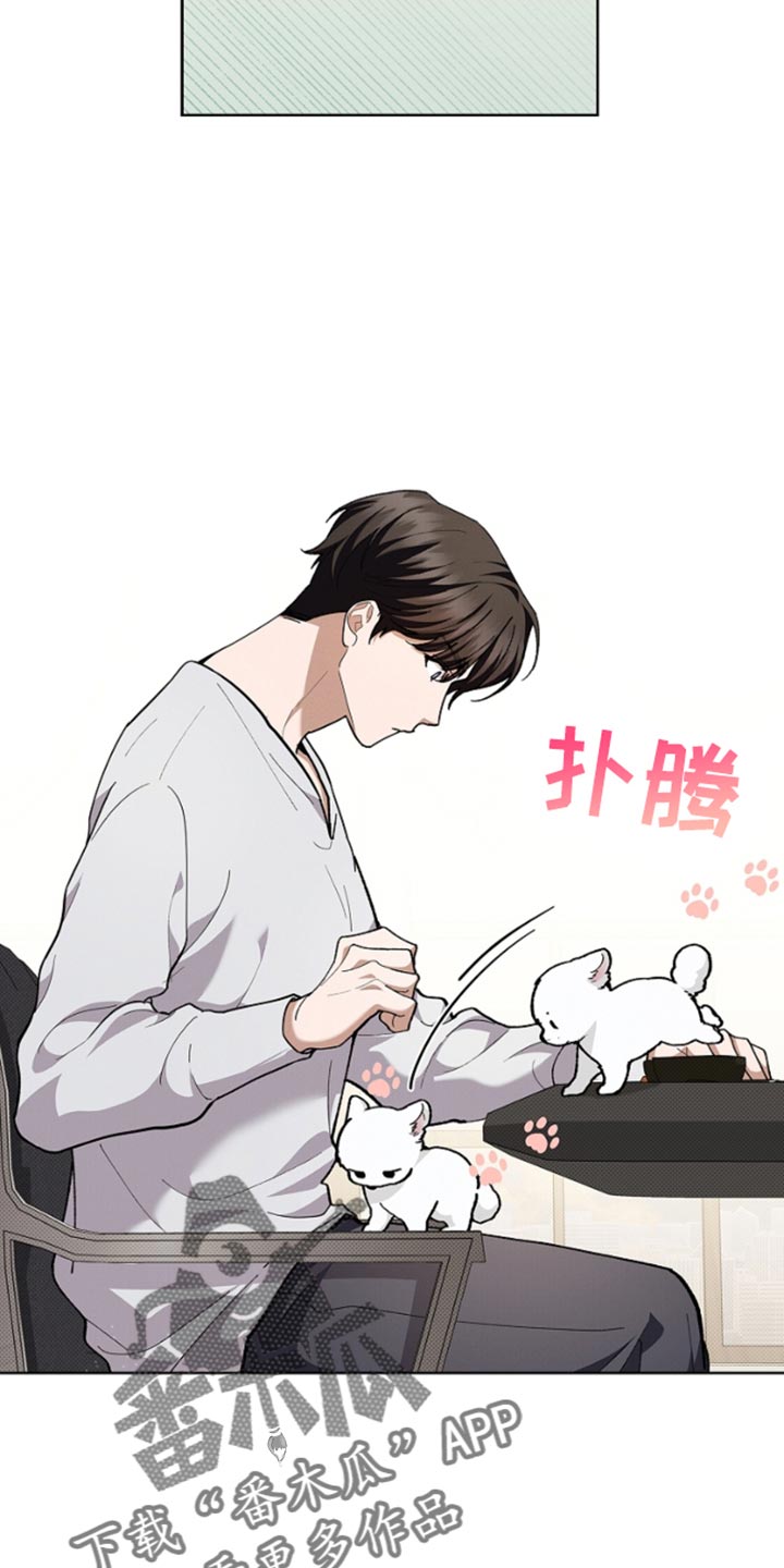 小白狗奇遇记动漫漫画,第29话4图