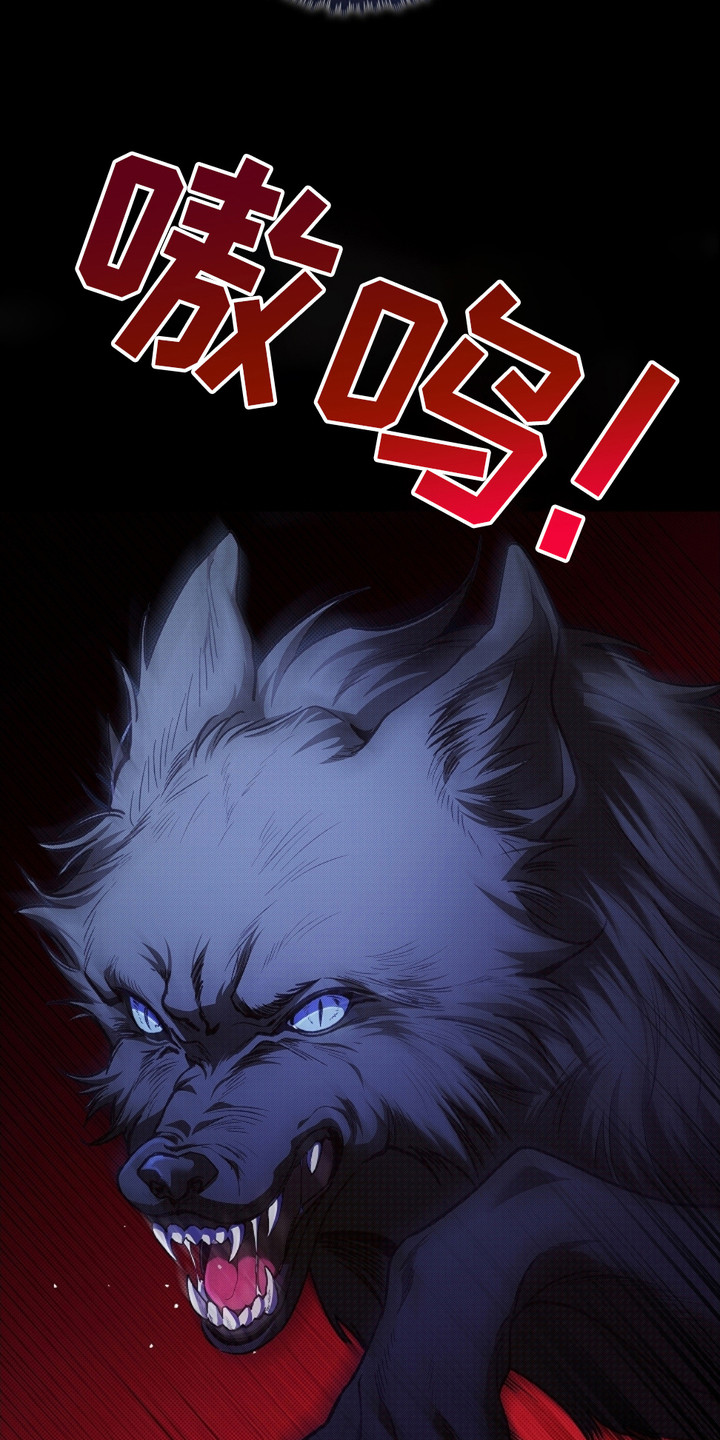 小白狗奇遇记漫画全集免费观看漫画,第1话3图