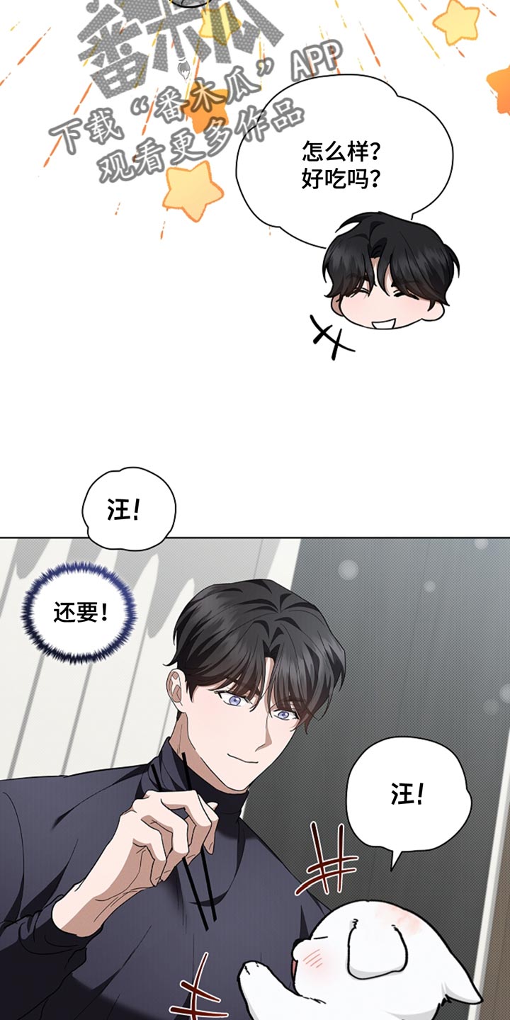小白狗奇遇记漫画全集免费观看漫画,第34话3图