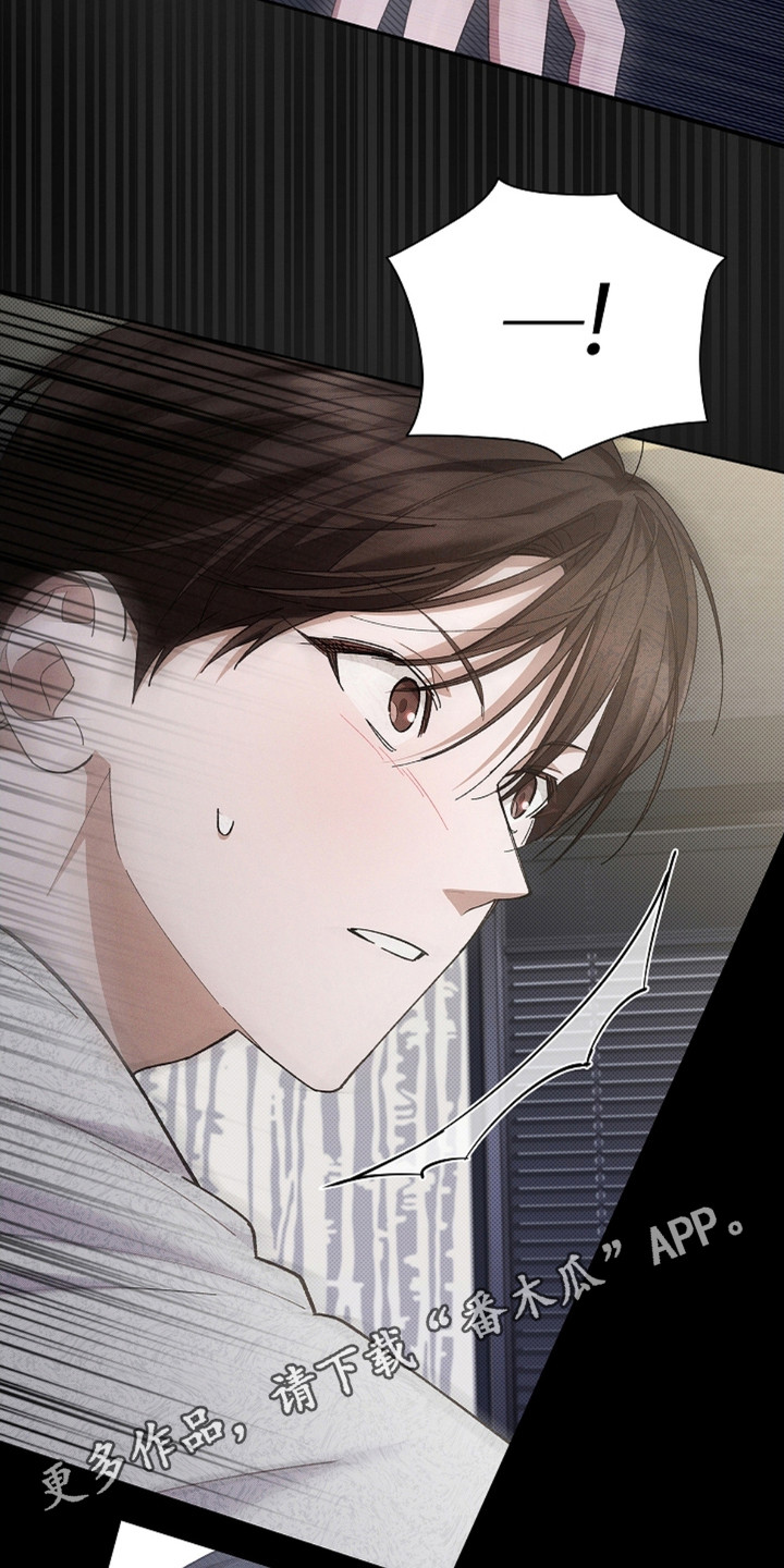 小白狗奇遇记漫画全集免费观看漫画,第7话5图