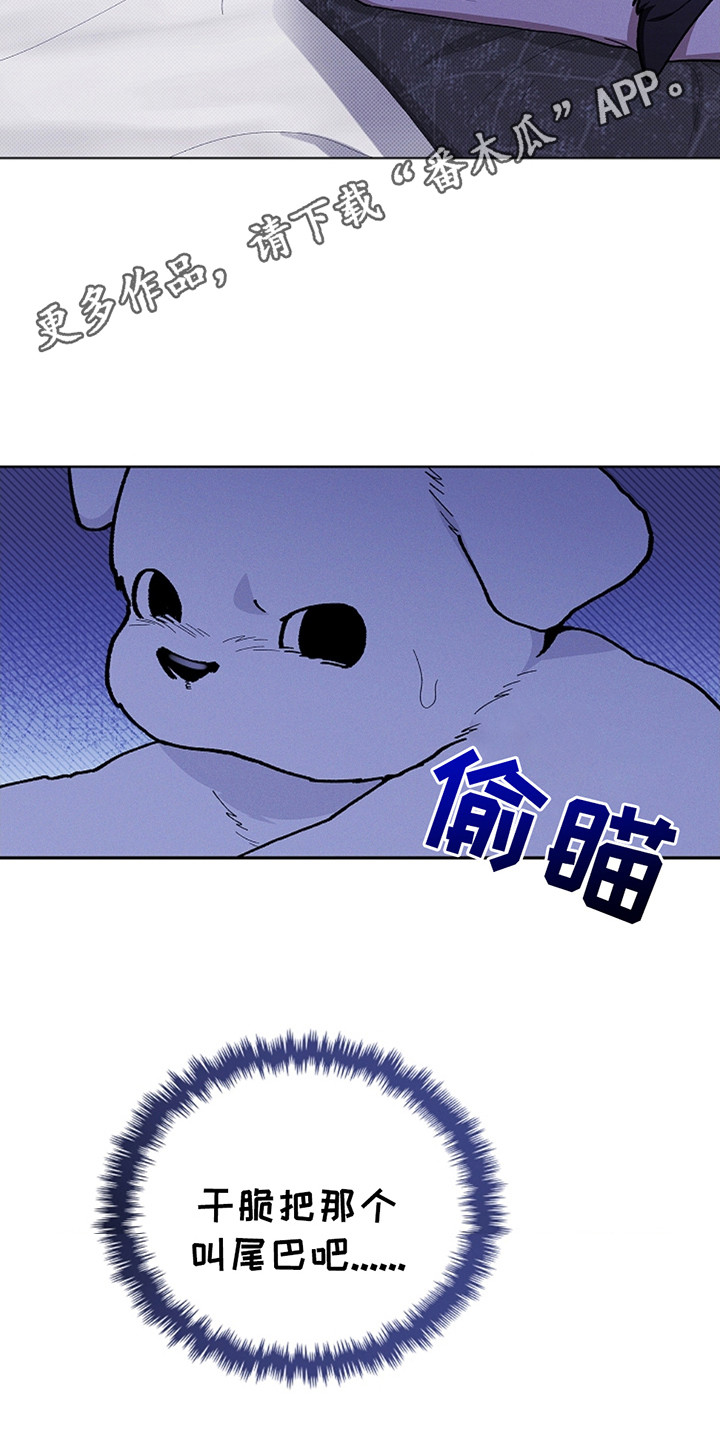 小白狗奇遇记漫画全集免费观看漫画,第22话5图