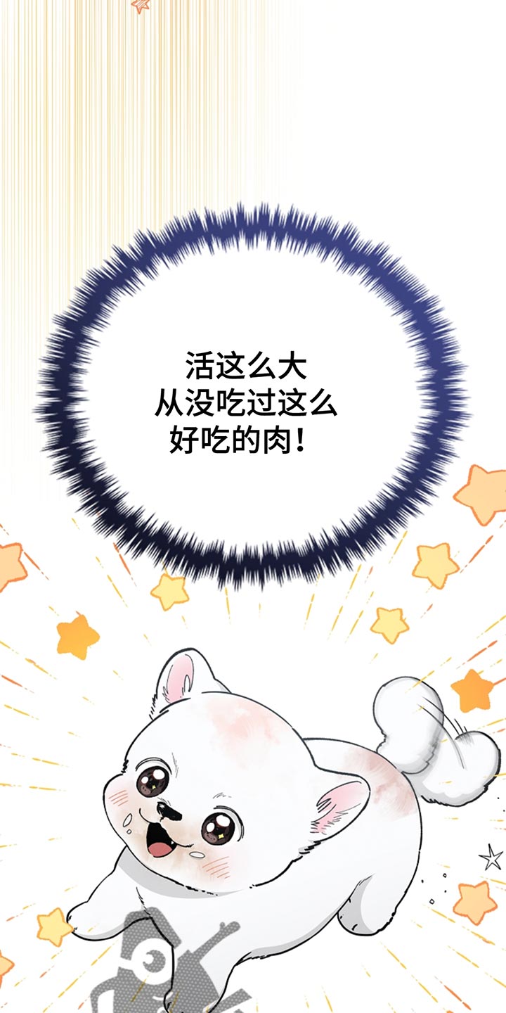 小白狗奇遇记漫画全集免费观看漫画,第34话2图