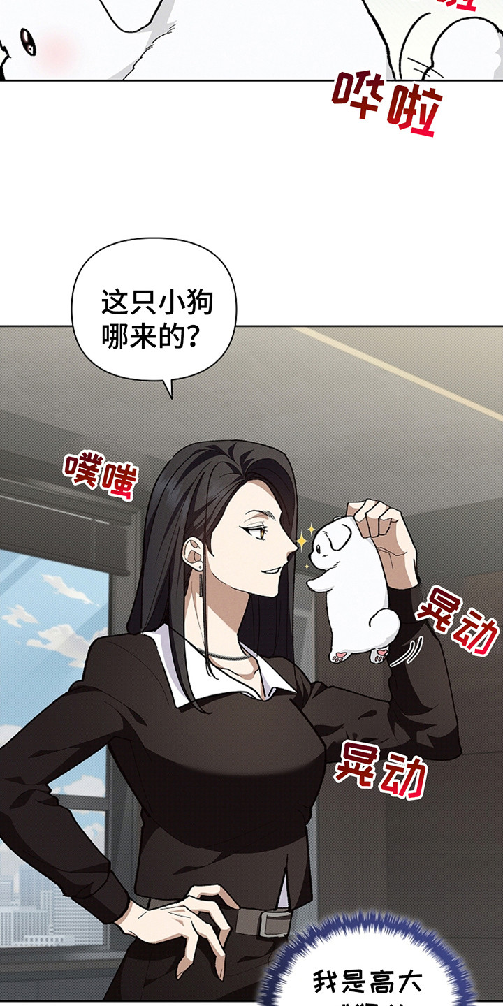 小白狗奇遇记漫画全集免费观看漫画,第23话3图